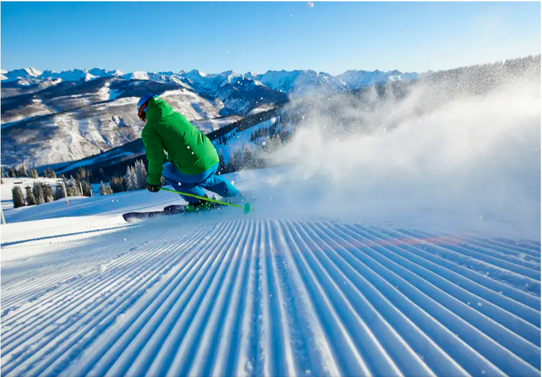 Skier